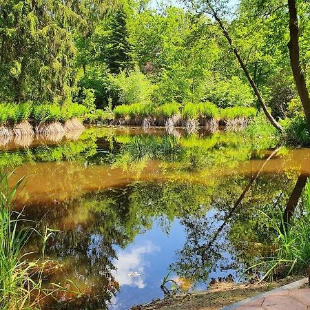 Midden In De Friese Bossen Op Landgoed Princenhof أورانييفاود المظهر الخارجي الصورة