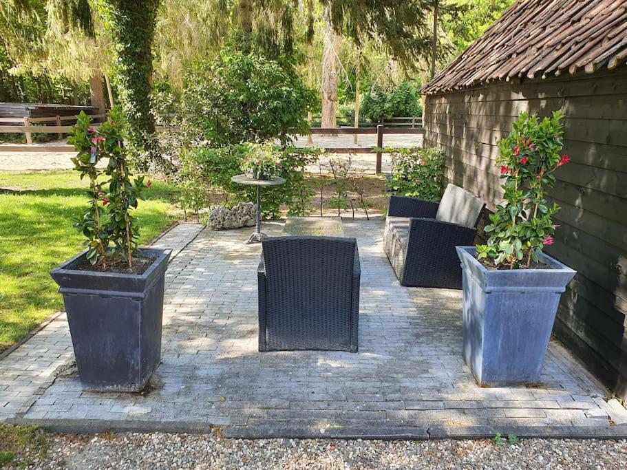 Midden In De Friese Bossen Op Landgoed Princenhof أورانييفاود المظهر الخارجي الصورة