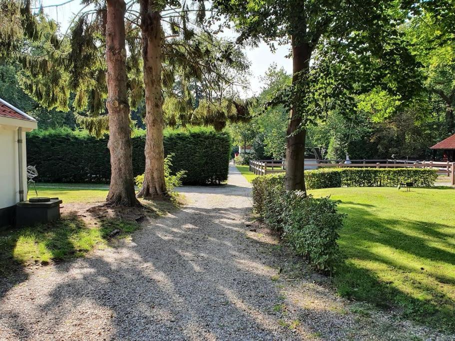 Midden In De Friese Bossen Op Landgoed Princenhof أورانييفاود المظهر الخارجي الصورة