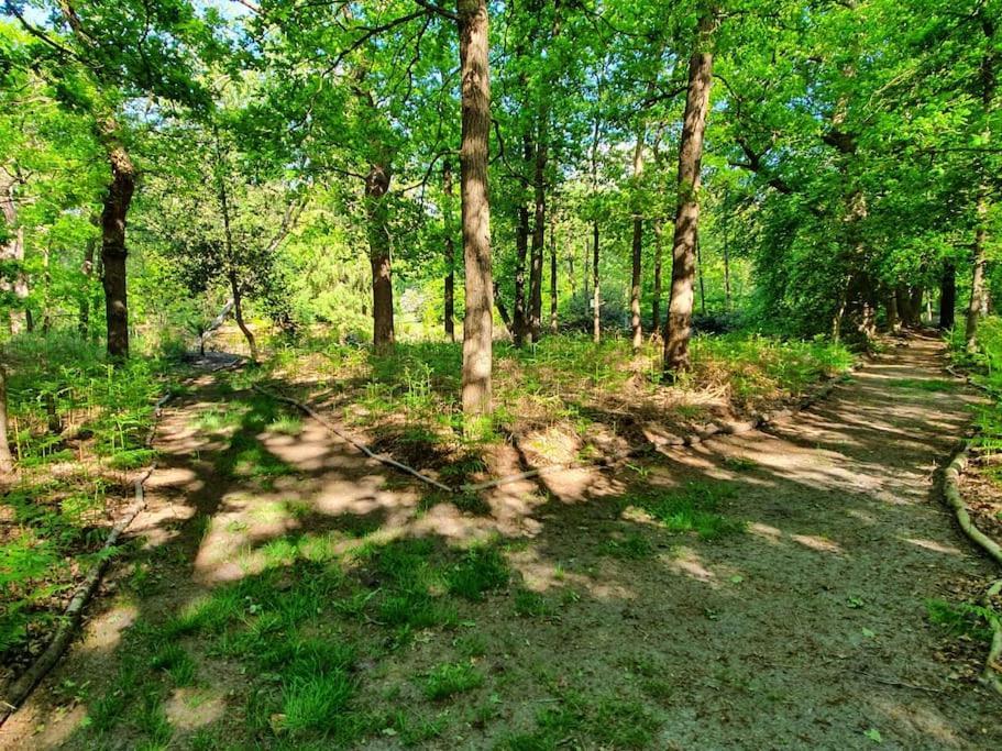 Midden In De Friese Bossen Op Landgoed Princenhof أورانييفاود المظهر الخارجي الصورة