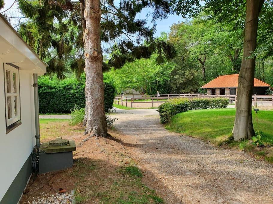 Midden In De Friese Bossen Op Landgoed Princenhof أورانييفاود المظهر الخارجي الصورة
