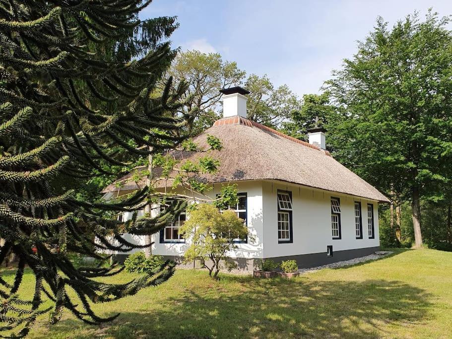 Midden In De Friese Bossen Op Landgoed Princenhof أورانييفاود المظهر الخارجي الصورة