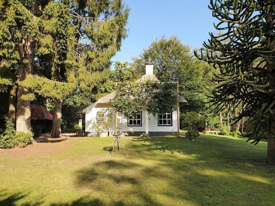 Midden In De Friese Bossen Op Landgoed Princenhof أورانييفاود المظهر الخارجي الصورة