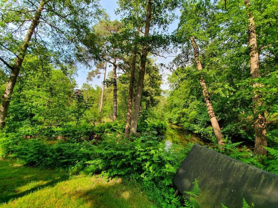 Midden In De Friese Bossen Op Landgoed Princenhof أورانييفاود المظهر الخارجي الصورة