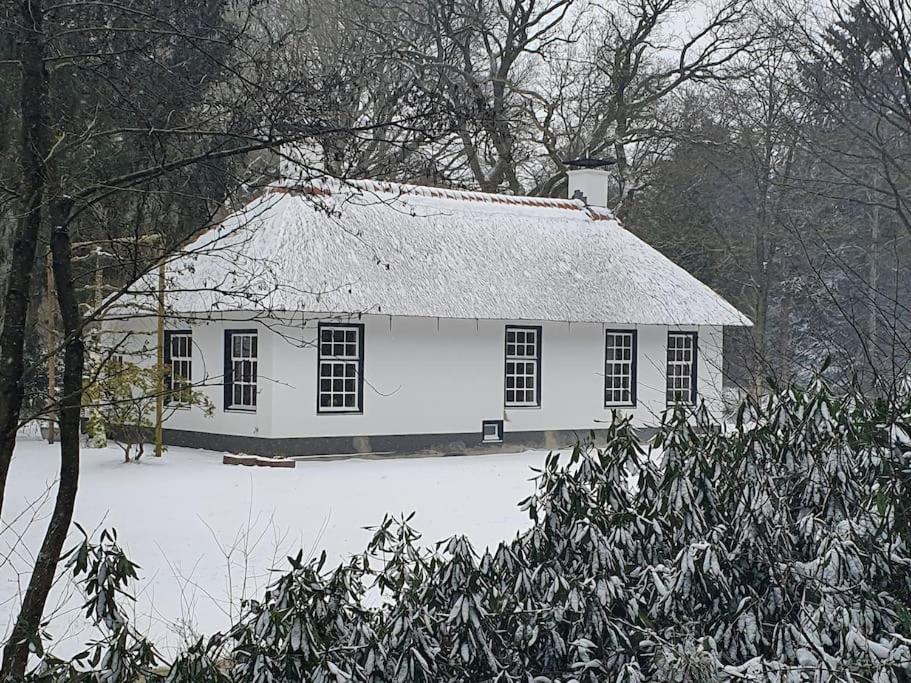Midden In De Friese Bossen Op Landgoed Princenhof أورانييفاود المظهر الخارجي الصورة