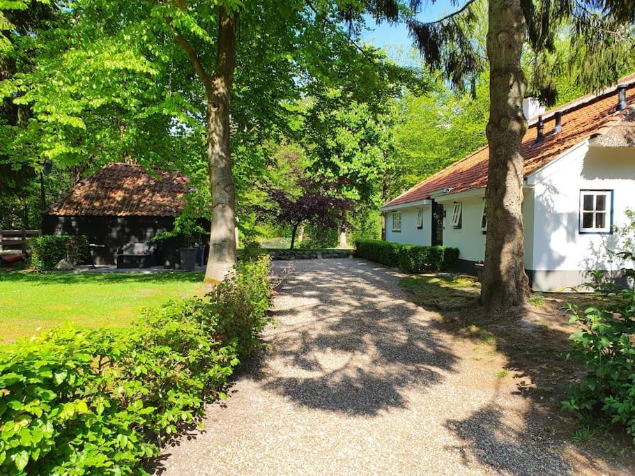 Midden In De Friese Bossen Op Landgoed Princenhof أورانييفاود المظهر الخارجي الصورة