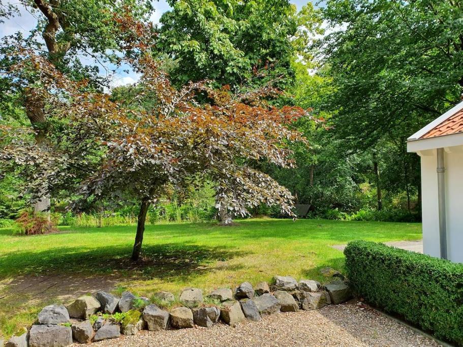 Midden In De Friese Bossen Op Landgoed Princenhof أورانييفاود المظهر الخارجي الصورة
