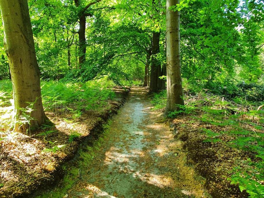 Midden In De Friese Bossen Op Landgoed Princenhof أورانييفاود المظهر الخارجي الصورة