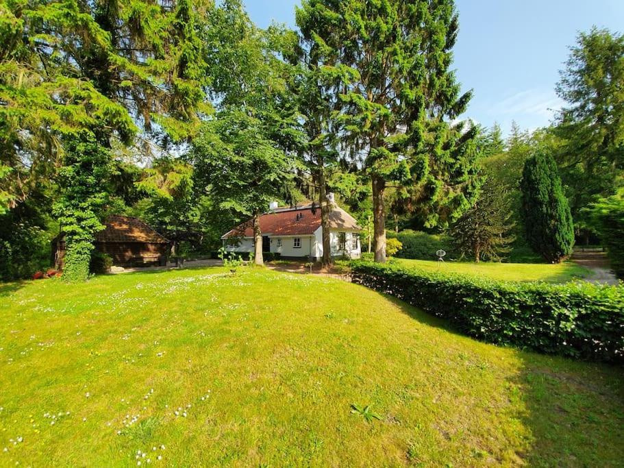 Midden In De Friese Bossen Op Landgoed Princenhof أورانييفاود المظهر الخارجي الصورة